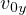 v0y  