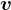 v 