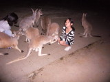 img0037.jpg