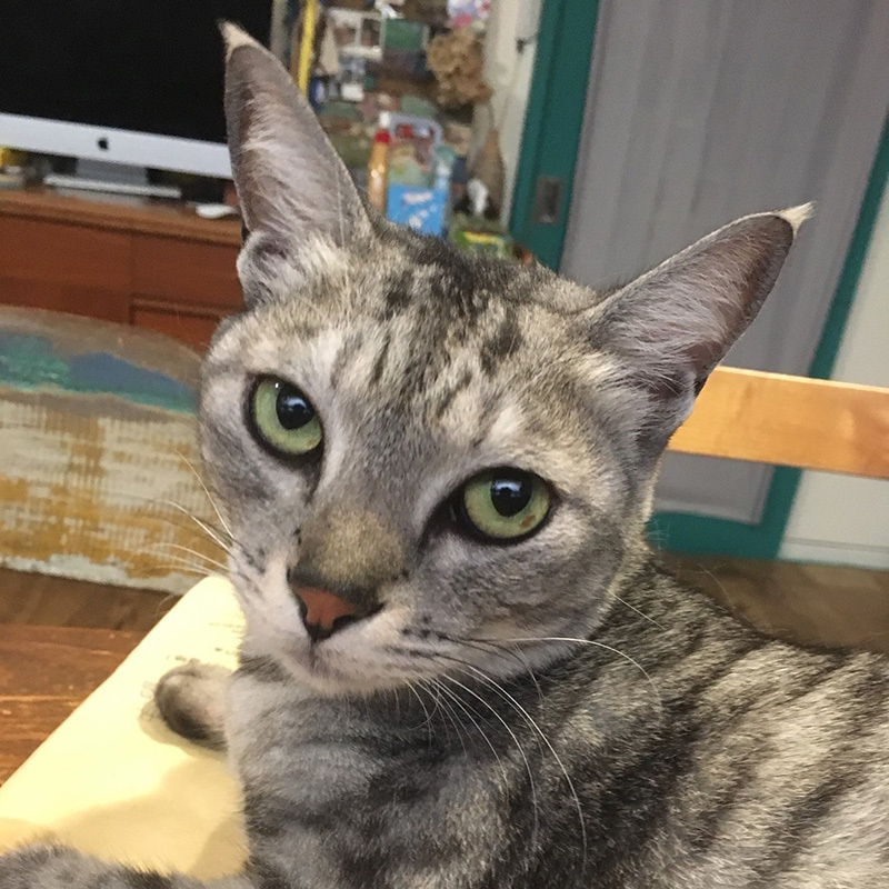 portrait_uchima